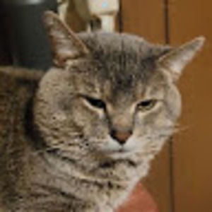 Meet your Posher, Roger